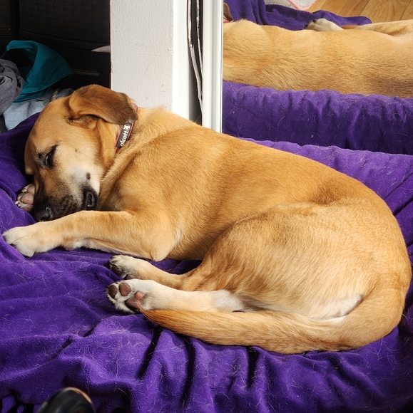 Meet your Posher, Emily - Picture 8 of 8